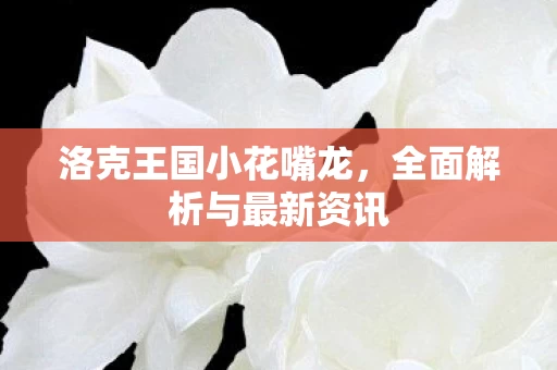 全面解析与最新资讯图片