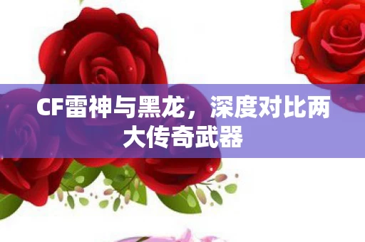 深度对比两大传奇武器图片