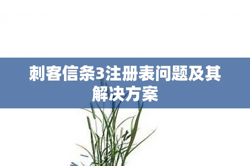 刺客信条3注册表问题及其解决方案图片