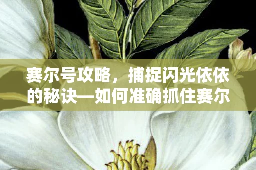 如何准确抓住赛尔号闪光依依图片