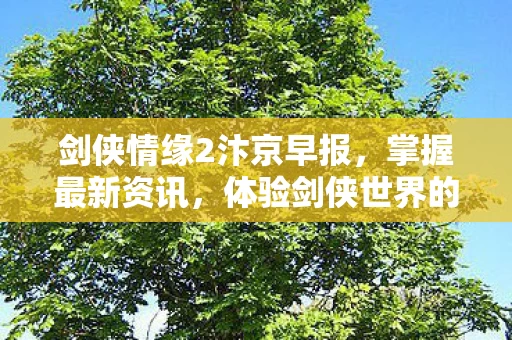 体验剑侠世界的精彩纷呈图片