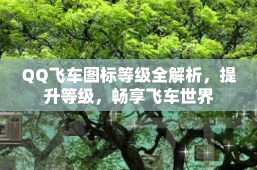QQ飞车图标等级全解析图片