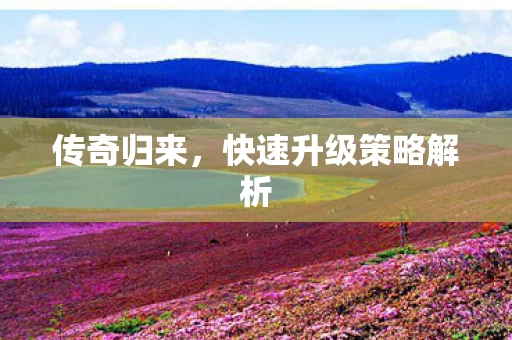 快速升级策略解析图片