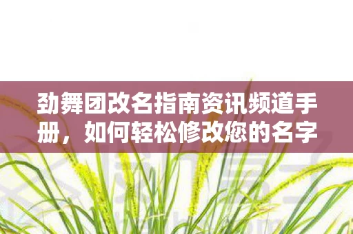 劲舞团改名指南资讯频道手册图片