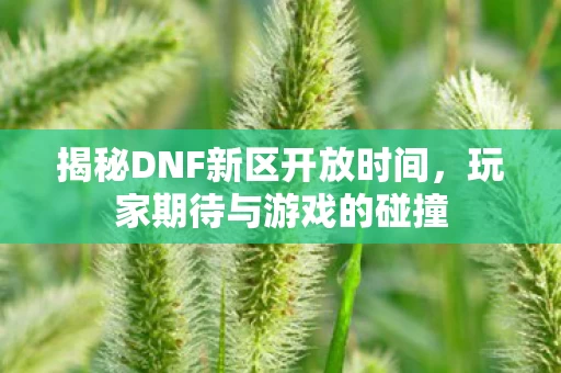 揭秘DNF新区开放时间图片