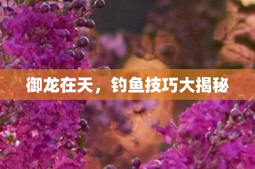 钓鱼技巧大揭秘图片