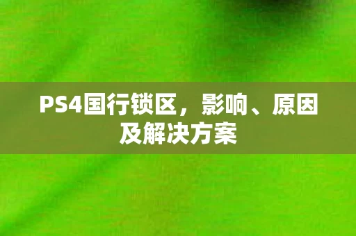 PS4国行锁区图片