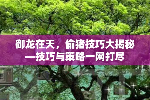 技巧与策略一网打尽图片