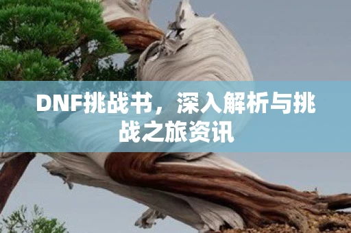 深入解析与挑战之旅资讯图片