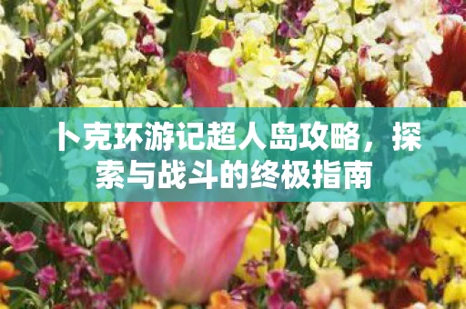 卜克环游记超人岛攻略图片