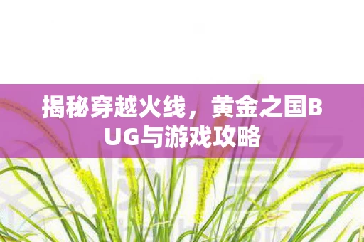 黄金之国BUG与游戏攻略图片