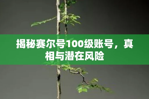 揭秘赛尔号100级账号图片