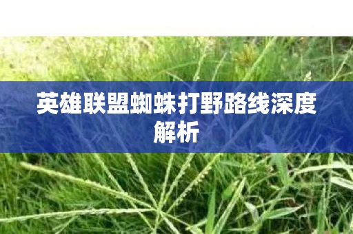 英雄联盟蜘蛛打野路线深度解析图片