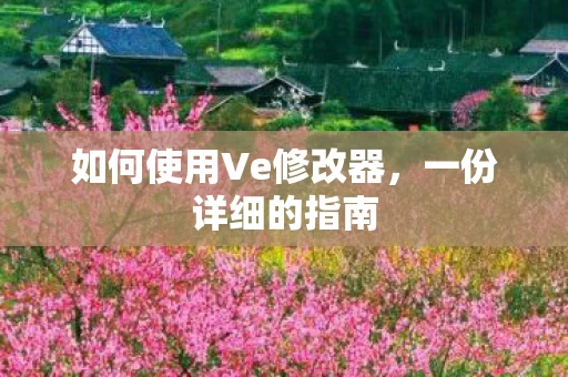 如何使用Ve修改器图片
