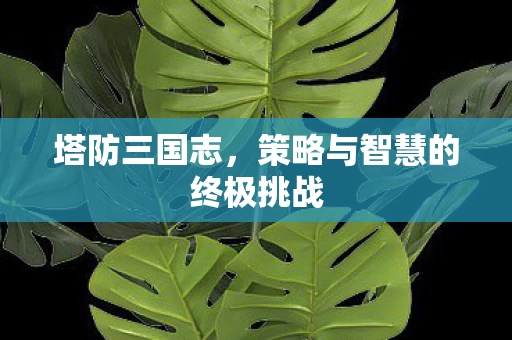 策略与智慧的终极挑战图片