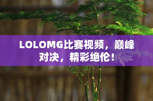 LOLOMG比赛视频图片
