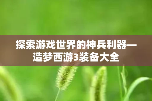 探索游戏世界的神兵利器图片