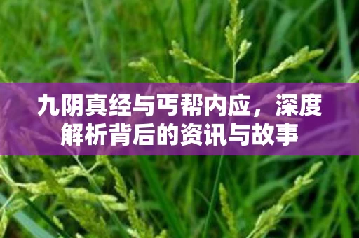 深度解析背后的资讯与故事图片