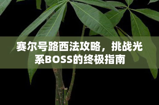 挑战光系BOSS的终极指南图片