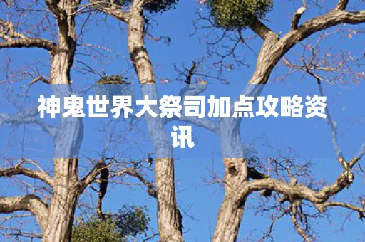 神鬼世界大祭司加点攻略资讯图片