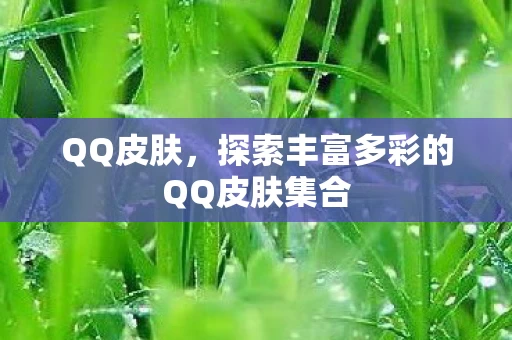 探索丰富多彩的QQ皮肤集合图片
