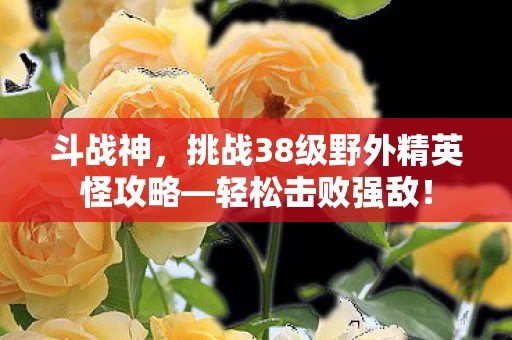 挑战38级野外精英怪攻略图片