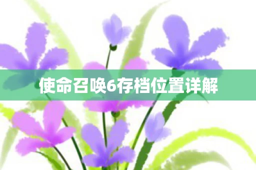 使命召唤6存档位置详解图片