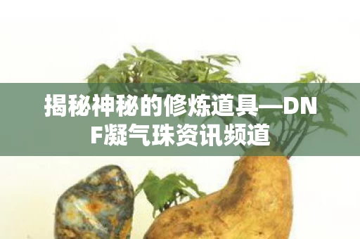 DNF凝气珠资讯频道图片