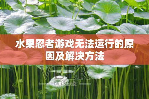 水果忍者游戏无法运行的原因及解决方法图片