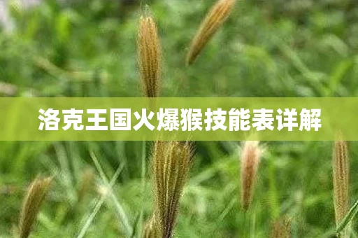 洛克王国火爆猴技能表详解图片