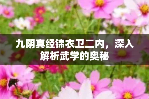 九阴真经锦衣卫二内图片