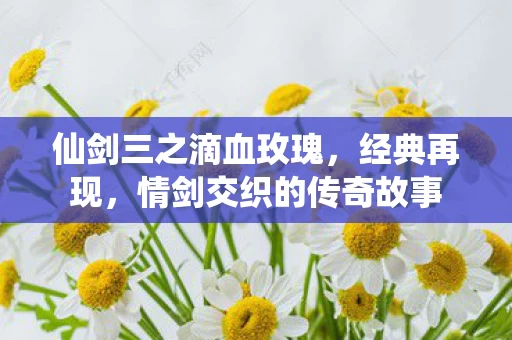 情剑交织的传奇故事图片