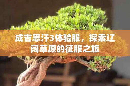 探索辽阔草原的征服之旅图片