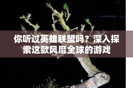 深入探索这款风靡全球的游戏图片