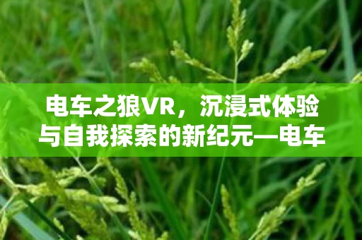 沉浸式体验与自我探索的新纪元图片