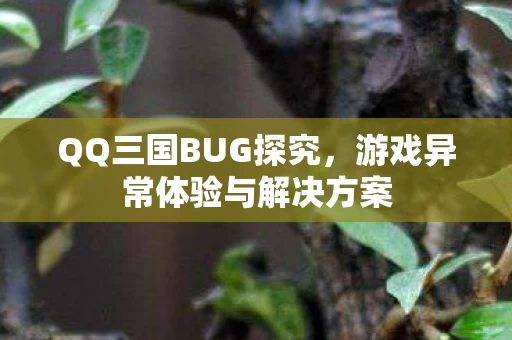 游戏异常体验与解决方案图片