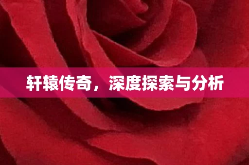 深度探索与分析图片