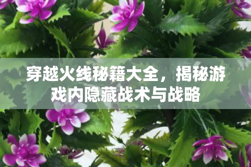 揭秘游戏内隐藏战术与战略图片