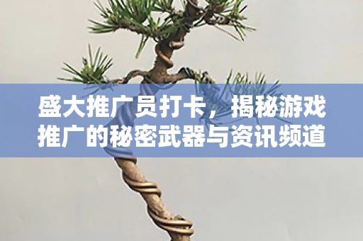 揭秘游戏推广的秘密武器与资讯频道图片