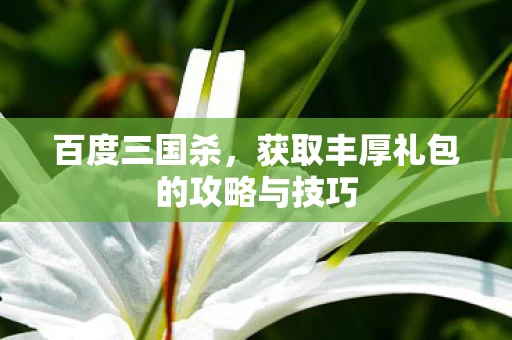 获取丰厚礼包的攻略与技巧图片