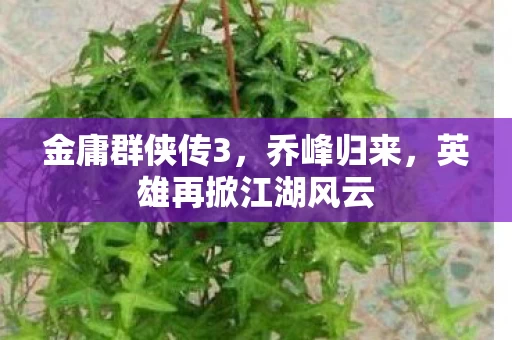 英雄再掀江湖风云图片