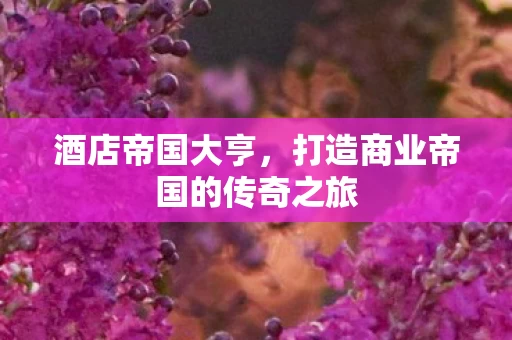 打造商业帝国的传奇之旅图片