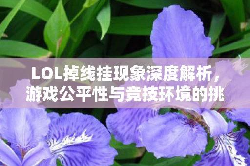 游戏公平性与竞技环境的挑战图片