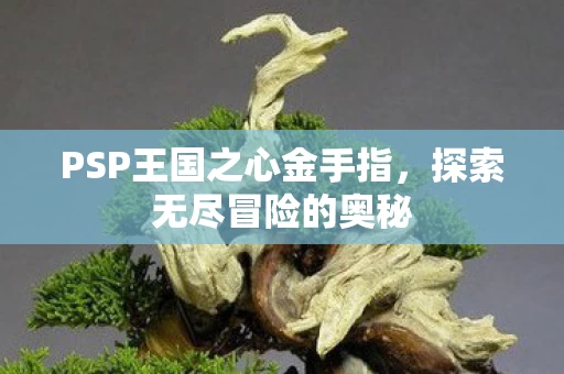 PSP王国之心金手指图片