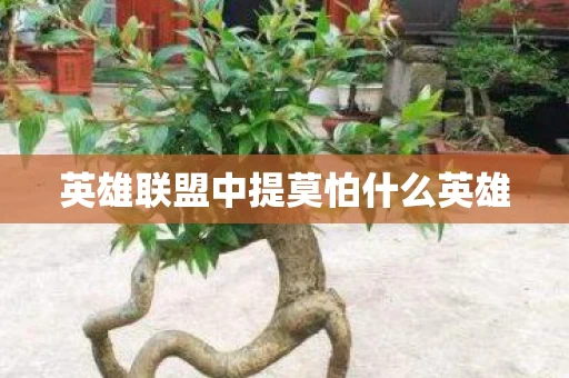 英雄联盟中提莫怕什么英雄图片