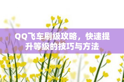 快速提升等级的技巧与方法图片