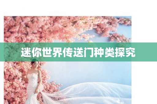 迷你世界传送门种类探究图片