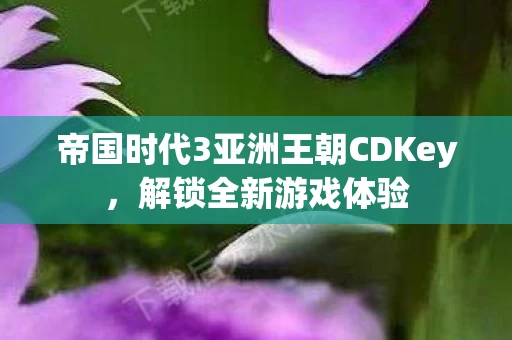 帝国时代3亚洲王朝CDKey图片