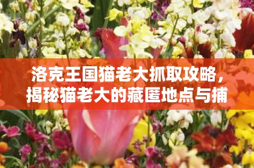 揭秘猫老大的藏匿地点与捕捉技巧图片