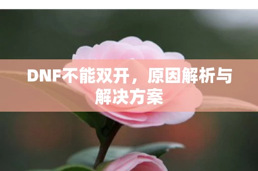 原因解析与解决方案图片